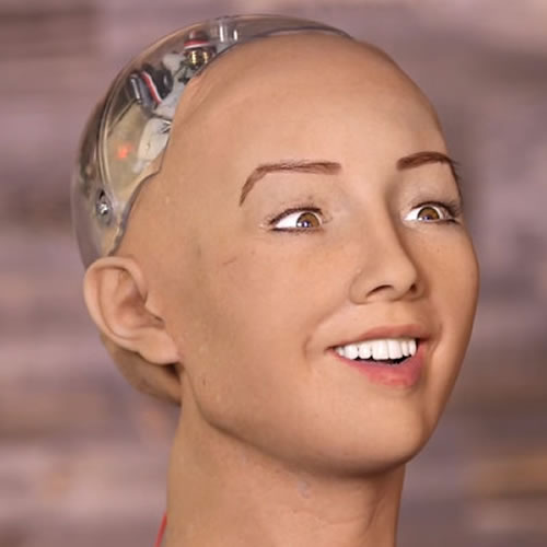 Robot Sophia tijdens een interviewRobot Sophia tijdens een interview.jpg