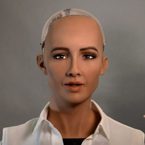 Sophia: A realistic humanoid robot