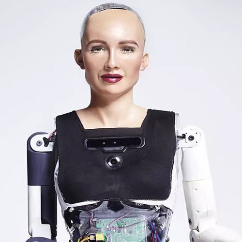 Humanoid Robot Sophia