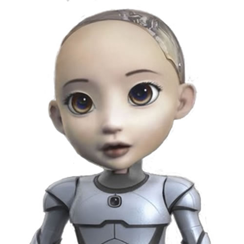 Little sophia hot sale robot