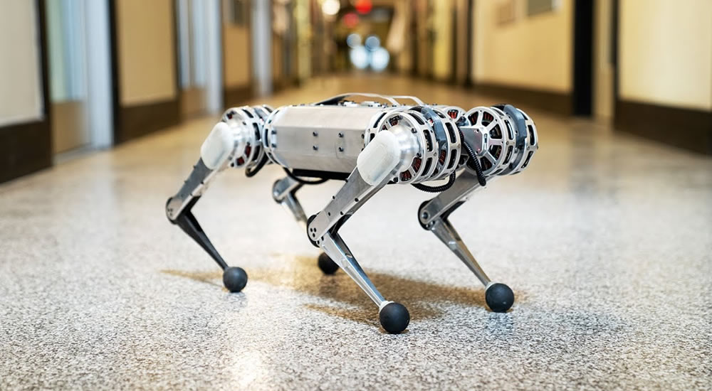 Mini Cheetah robot van Massachusetts Institute of TechnologyMini-Cheetah-robot-van-Massachusetts-Institute-of-Technology.jpg