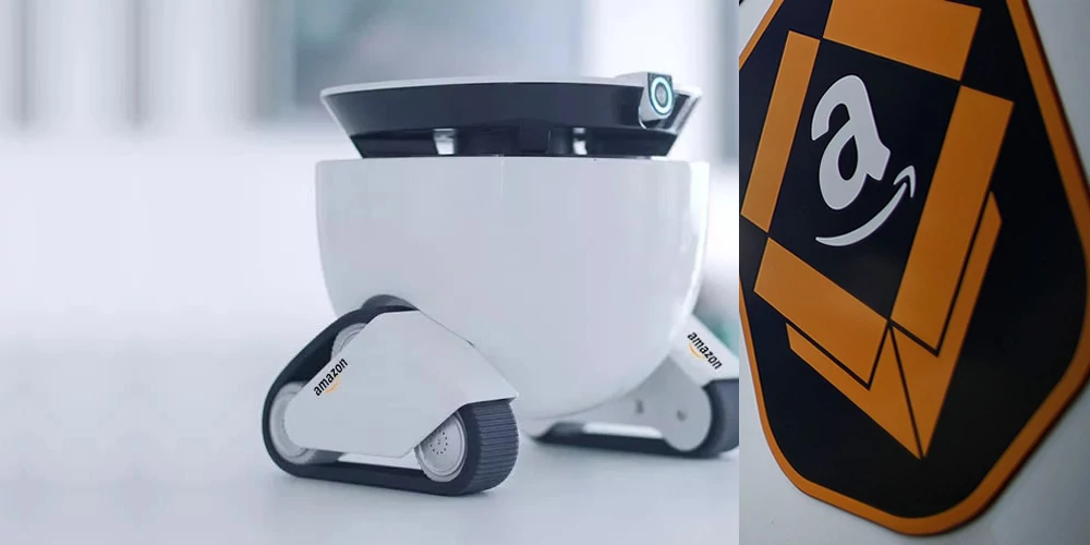 Vesta store home robot